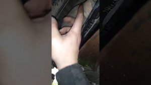 Ховер н3 гофра сильфон на хомутах.