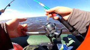 Морская рыбалка. Ловим камбалу. Белое море. Северодвинск.