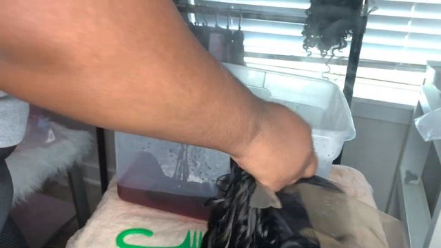 DIY Fall Hair Color PAPRIKA Ft Tinashe Hair смотреть онлайн