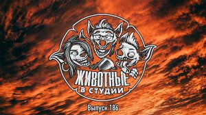 Подкаст «Животные в Cтудии». Выпуск 186. Блуждающий Марио в Подземелье Драконов