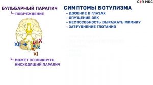 Ботулизм - симптомы, диагностика, лечение, микробиология, ботулотоксин