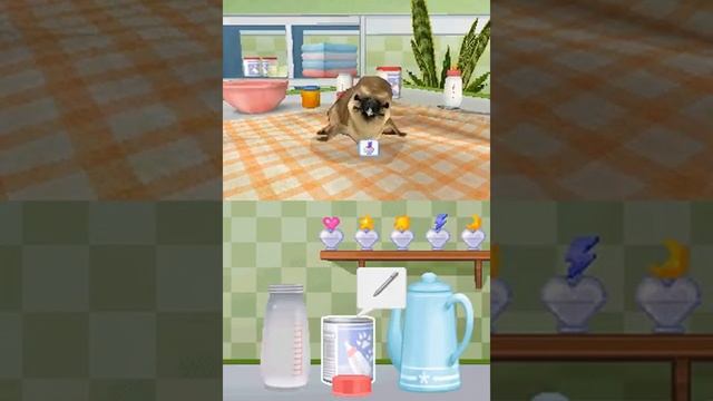 Petz   Nursery 2 USA - Nintendo DS