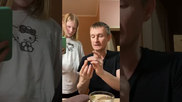 Пальма Хамеропс!!!