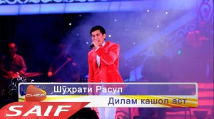 Шухрати Расул - Дилам кашол аст