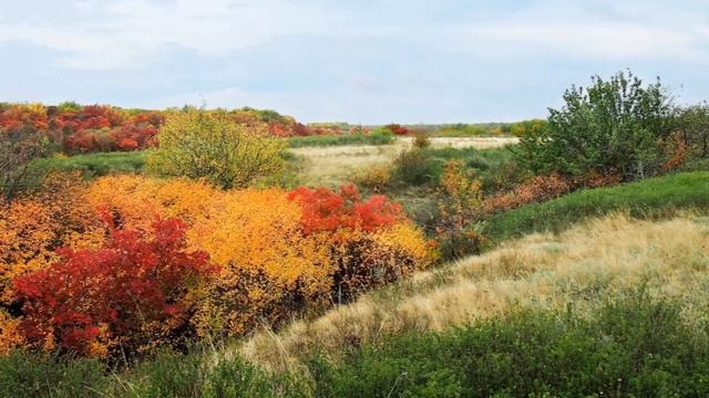 золотые краски осени смотреть онлайн