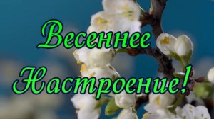 Весеннее настроение
