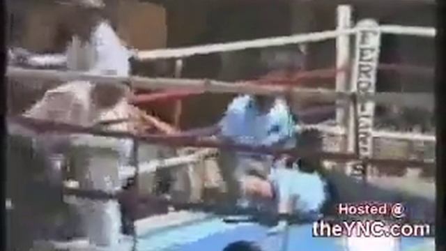 Боксер и судья смотреть онлайн