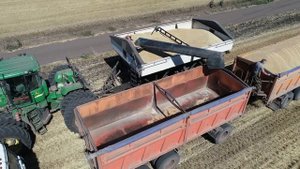 Комбайны на уборке урожая пшеницы в Прохоровском районе Белгородской области.
