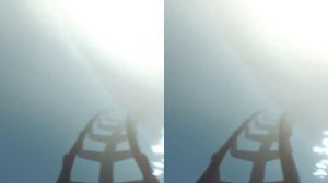VR видео 360 градусов погружение в океан