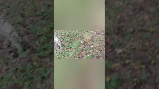 YouCut_20220808_190819431.mp4 смотреть онлайн