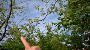 Кто с нами на ДАЧУ? Хотите на нее ПОСМОТРЕТЬ? @Мамины рецепты на ДАЧЕ! Дыдынские на связи