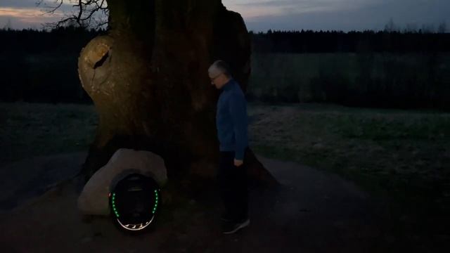 Супер Дуб на Дороге Жизни! Сколько раз проезжал мимо и не обращал внимания.. Моноколесо рулит! смотреть онлайн