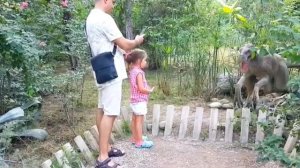 Турция Динопарк -Кемер -Гёйнюк. А Вы катались на динозаврах? Dinopark Göynük, Kemer, Antalya