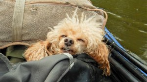 Река Красивая Меча 5-8 мая 2023