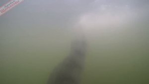 СЛАГ. Тактика ловли, НЮАНСЫ проводки, СЕКРЕТЫ ОСНАЩЕНИЯ. Спиннинг, водохранилище, лодка