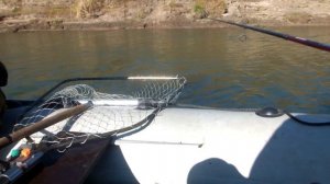 Хотели порыбачить на озере,а получилось на реке... р.Яя  Короткая рыбалка.