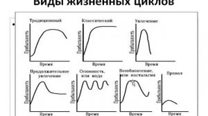 Жизненный цикл товара, матрица БКГ