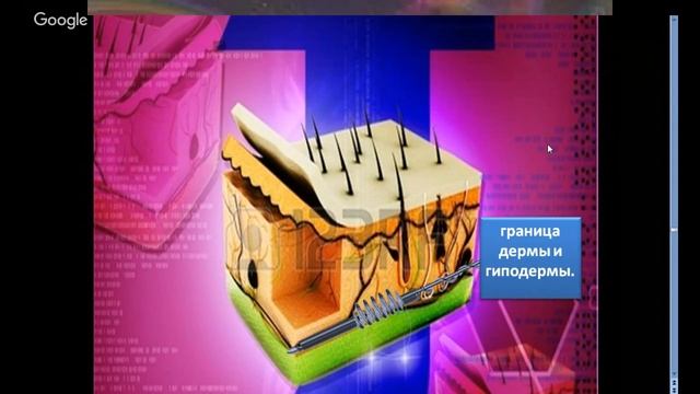 Живая анатомическая книга 2 смотреть онлайн