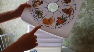 Обзор бытовой сушилки "Ротор" для овощей,фруктов и ягод