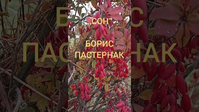 Борис Пастернак  ,,Сон"