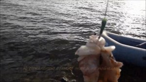 Рыбалка на Каме Трой Урай
