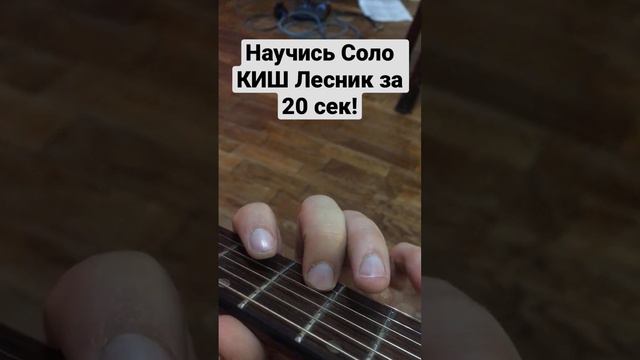 Соло из Лесника группы Король и шут