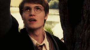 Что Если Гарри Плохо Влиял на Дурслей Как Крестраж?