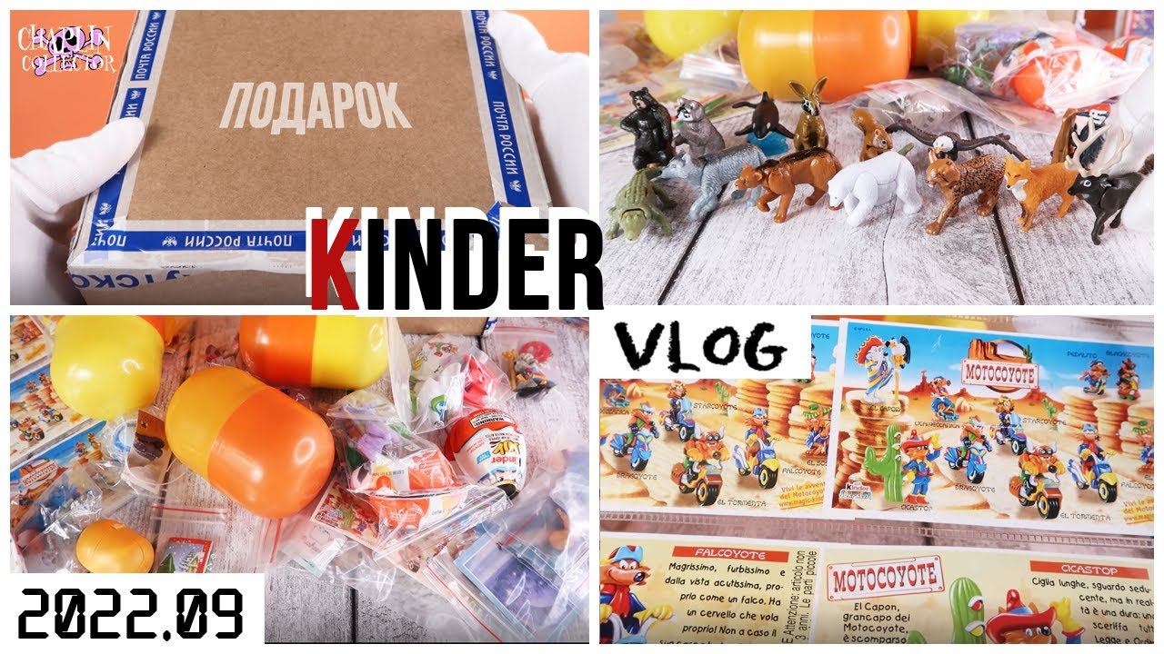 Долгожданный Kinder vlog: закрытые серии, варианты вкладышей, подарок от подписчицы смотреть онлайн