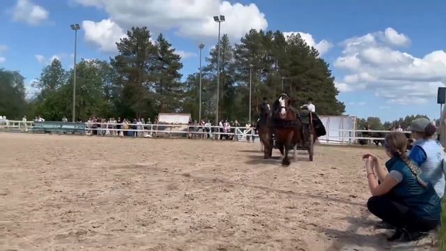 Выступление хозяйства «Атланты Северной Столицы» на выставке Иппосфера 2022 смотреть онлайн