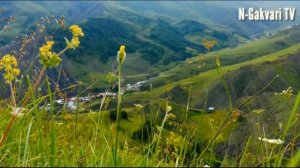 В горах моё сердце в ауле родном!  С. Нижнее Гаквари // #горы #природа #гаквари #цумадинскийрайон