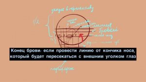 Как нарисовать портрет/ Урок/ Поворот 3/4. Пропорции лица/ Рисуем вместе/ для начинающих/ ракурсы