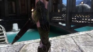 Skyrim Mod Shopwindow: Ellierosa Standalone Follower