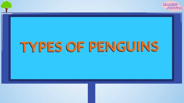 Learn About Penguins  | Penguin Information | Video For Kids