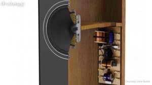 Fyne Audio F502 Floorstanding Speakers - Quick Look India