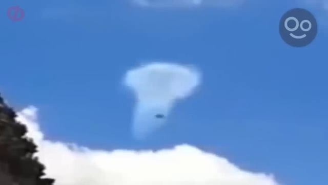 Посмотрите! Это Видео Запрещено Показывать... смотреть онлайн