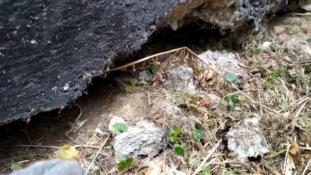 Конопатка сруба бани