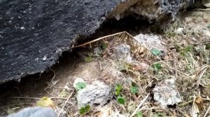 Конопатка сруба бани