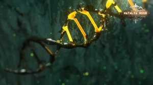 СЕКТРЕТЫ МАТЕРИАЛИЗАЦИИ ПРЕДМЕТОВ. САТЬЯ САИ БАБА. Доступ к 12-ти плотностям.