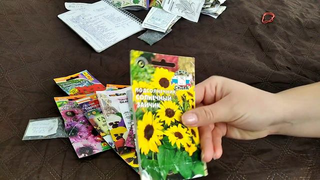 Семена цветов на 2024 год. смотреть онлайн