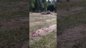 Самодельный минитрактор, заготовка Сена. конные грабли