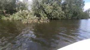 виза легант 345 обзор после 3 лет использования