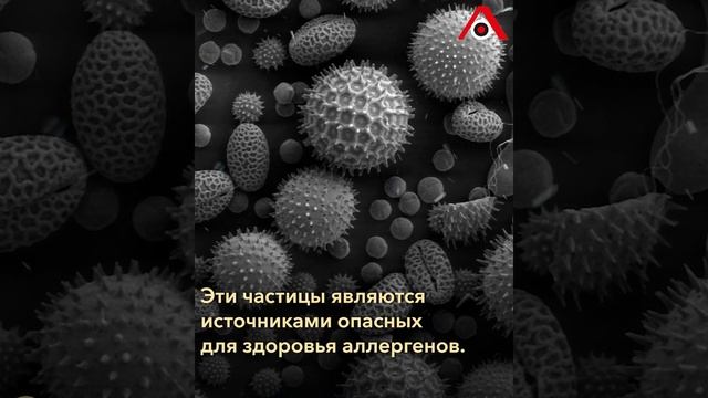 «Вплоть до астмы»: почему надо часто менять постельное белье