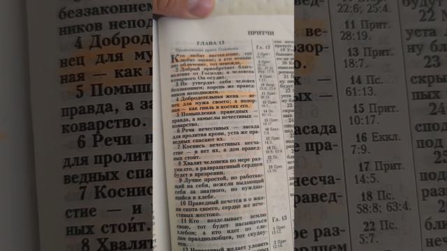 Добродетельная жена — венец для мужа своего; а позорная — как гниль в костях его.Притчи 12:4 смотреть онлайн