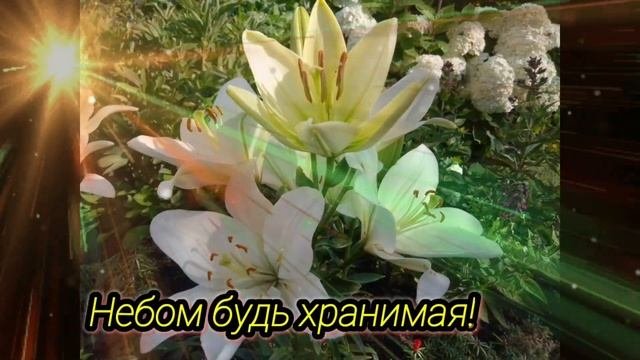 С Днем Рождения Валентина! Поздравление для взрослой дочери.