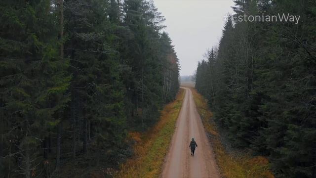 How to experience a museum the #EstonianWay with Indra Salceviča смотреть онлайн