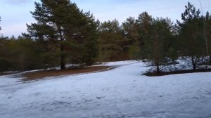 WALKING in SNOWY winter Forest /Estonia /Tallinn /Jalutuskäik Mustamäel /Прогулка в лесу /Эстония