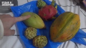 Еда Индия ГОА Отдых и Экскурсии