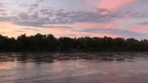 Чеченская песня на гитаре поет девушка 😍