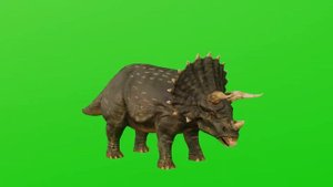 Динозавр Трицератопс | dinosaur | Triceratops | Футажи для видео | Хромакей | green screen | ФутаЖО