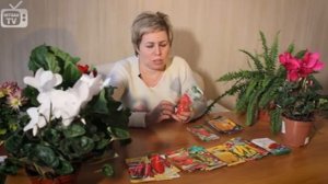 Урожайный сад и огород - ПЕРЕЦ обзор семян ➤Выбираем Семена перца уход